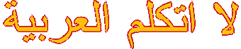 sonnerunter Ich spreche kein Arabisch